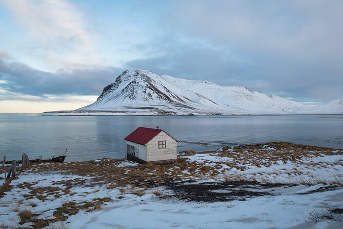 Icelands Reykjavik Self Guided Walking Audio Tour - Parliament House and Iceland’s four guardians