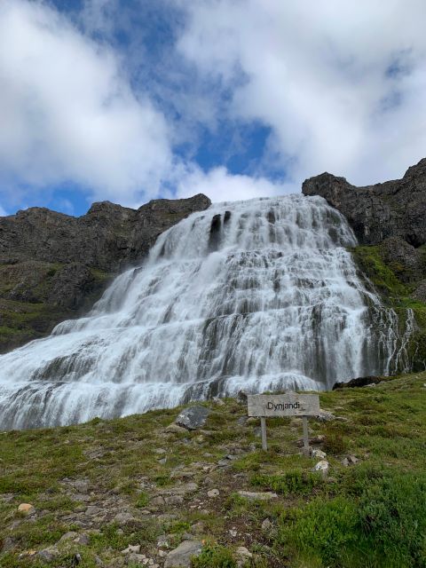 Isafjordur: Dynjandi Waterfall Tour and Icelandic Farm Visit - The bus, guide, and pace