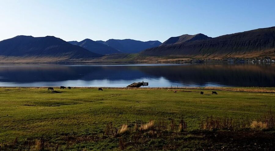 Isafjordur: Dynjandi Waterfall Tour and Icelandic Farm Visit - Who should book this excursion?