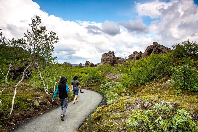 Lake Mývatn & Godafoss Small Group Tour from Akureyri Port - The small van and guide make the difference