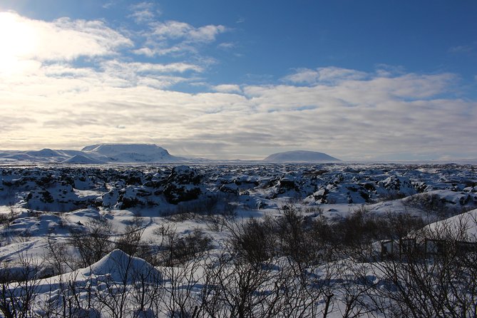 Lake Mývatn Private Tour - Food, timing, and the early flight option