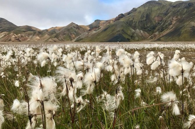 Landmannalaugar by Super Jeep - Starting from Hella at 10 am