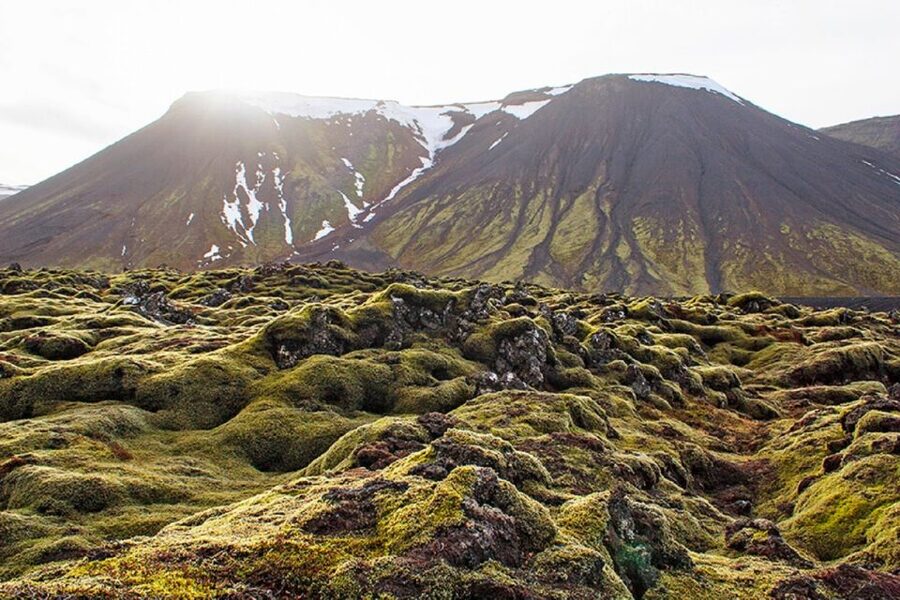 Leidarendi Cave: Lava Tunnel Caving from Reykjavik - Hunching and crawling are part of the deal