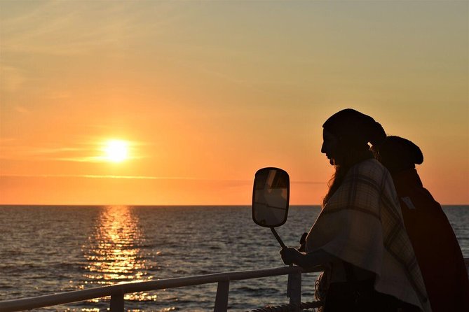 Magical Whales in the Midnight Sun | from Reykjavik - Why the Midnight Sun Makes This Cruise Different