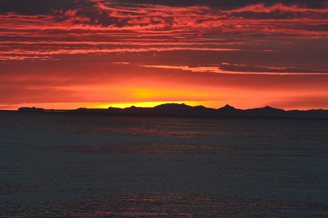 Magical Whales in the Midnight Sun | from Reykjavik - What the $105 Price Buys You