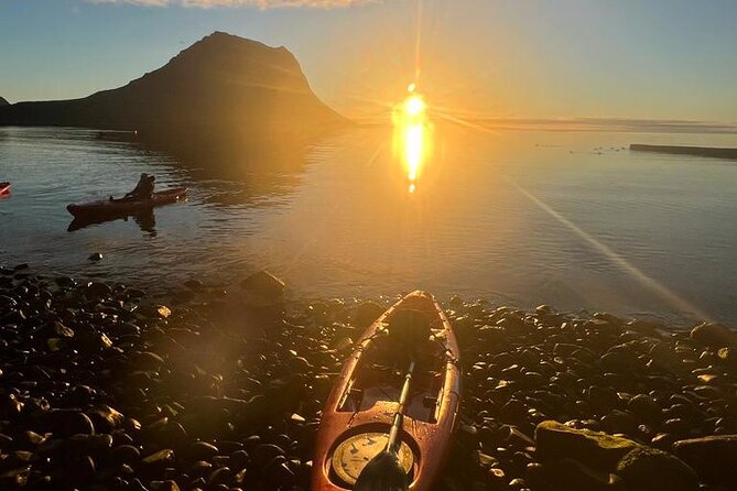 Midnight Sun Kayaking Adventure by Mt. Kirkjufell - Wildlife is a welcome bonus