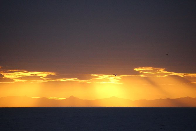 Midnight Sun Whale Watching from Reykjavik - Thermal suits, indoor seating, and the question of comfort