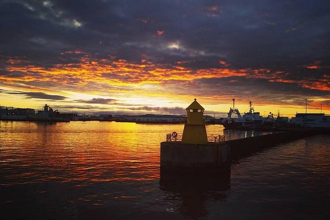 Midnight Sun Whale Watching from Reykjavik - The strongest sightings and the luck factor