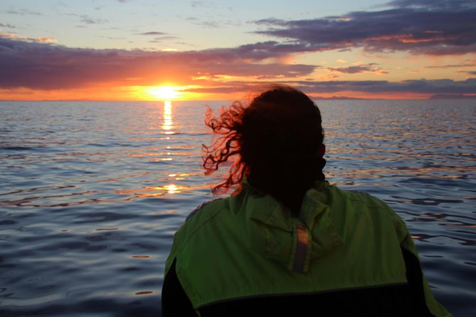 Midnight Sun Whale Watching from Reykjavik - Crossing Faxaflói Bay beneath the summer light
