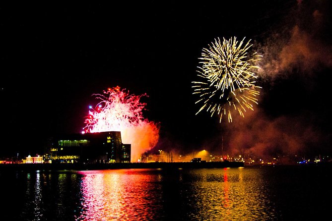 New Year's Eve Fireworks Cruise in Reykjavik - Key points before you book