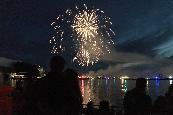 New Year's Eve Fireworks Cruise in Reykjavik - The midnight Champagne toast and onboard service