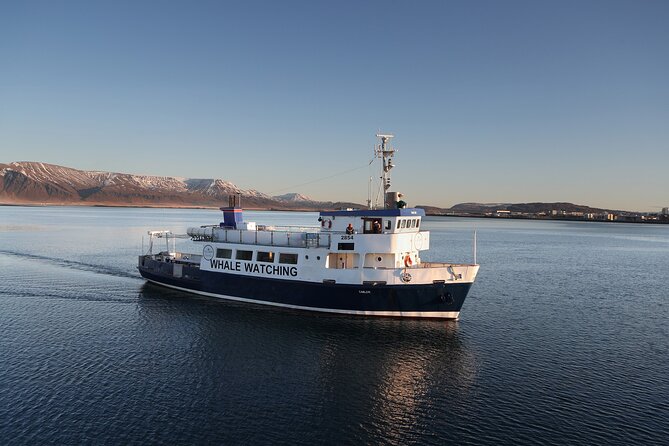New Years Fireworks by Boat from Reykjavik - Who will enjoy this boat most?