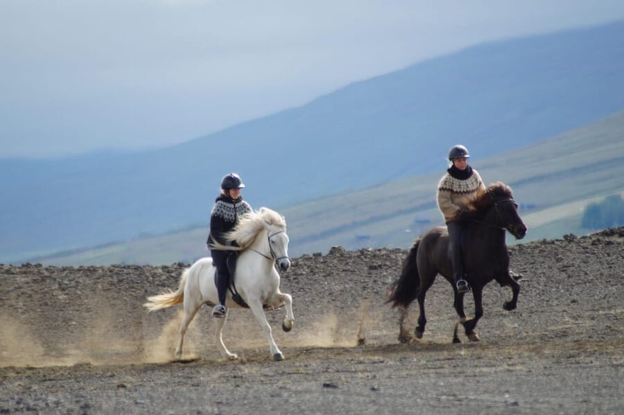 North Iceland: Horseback Riding Tour - A two-hour ride through northeastern Iceland