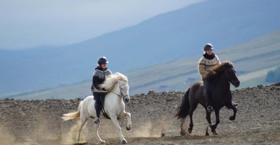 North Iceland: Horseback Riding Tour - From fields and river to black sand