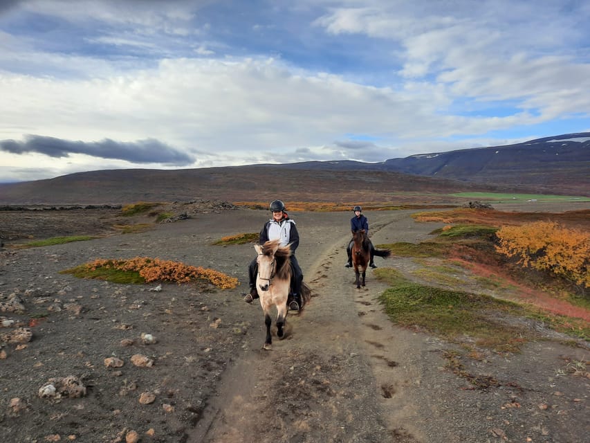 North Iceland: Horseback Riding Tour - Weather matters more than the calendar