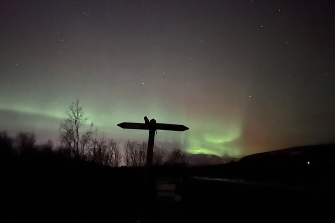 Northern Lights ATV Quad Adventure from Reykjavik - Taking photographs in the cold