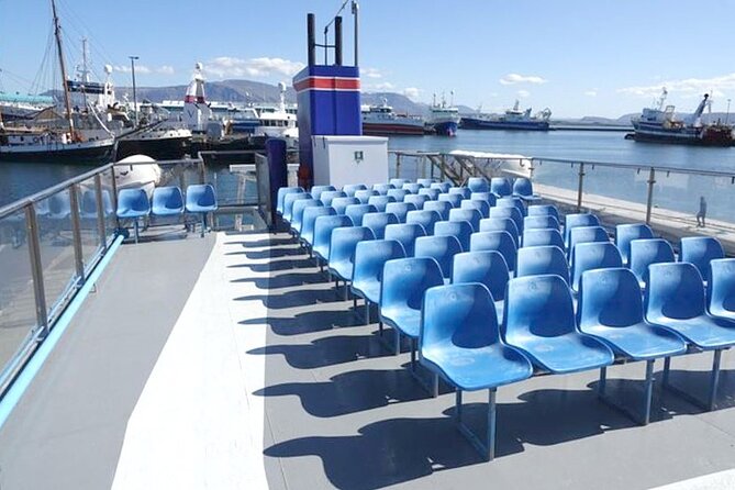 Northern Lights Boat Cruise from Reykjavik - Finding the northern lights from the deck
