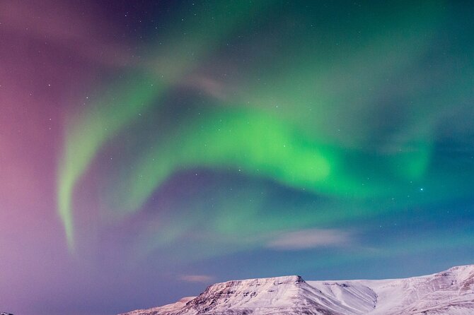 Northern Lights Boat Cruise from Reykjavik - Staying warm without missing the sky
