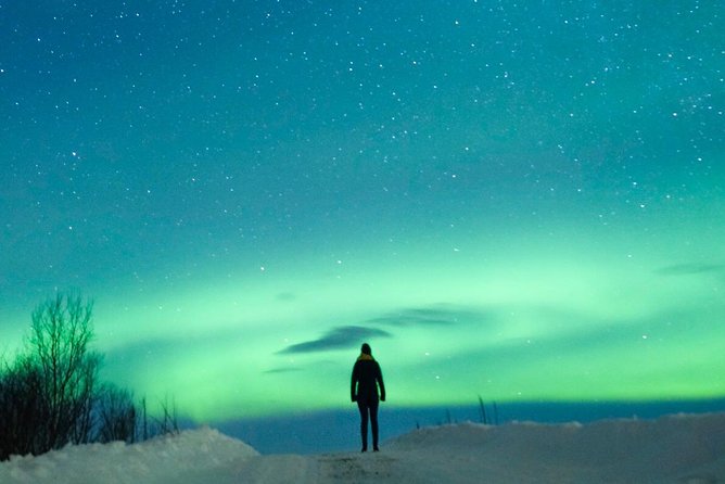 Northern Lights Bus Tour from Reykjavik with Hot Chocolate - Hot chocolate in the cold