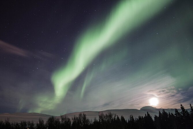 Northern Lights Classic MiniBus Tour from Akureyri - Key points to know before you book
