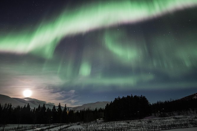Northern Lights Classic MiniBus Tour from Akureyri - Leaving Akureyri at 9:30 p.m.
