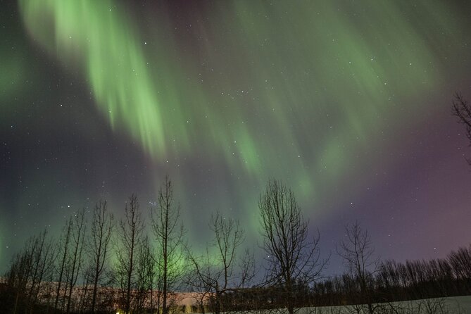 Northern Lights Classic MiniBus Tour from Akureyri - Is the $150.85 price good value?