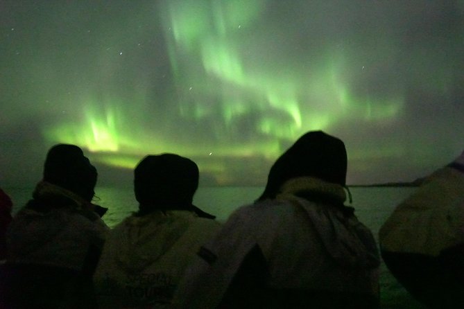 Northern Lights Cruise from Reykjavik Including Photos - Full boats, rough water, and comfort limits