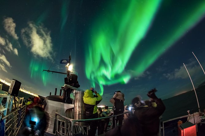 Northern Lights Cruise from Reykjavik Including Photos - What happens when the sky cooperates