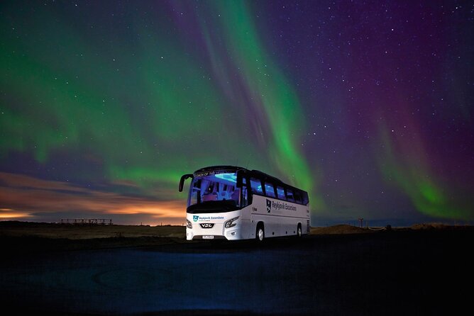 Northern Lights Guided Bus Tour from Reykjavik - Seeing the aurora with your own eyes