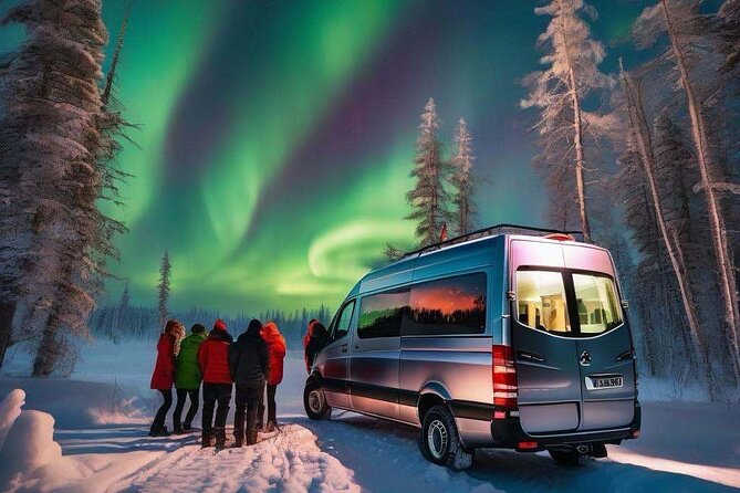 Northern Lights Small Group Tour from Reykjavik - Who will enjoy this tour most
