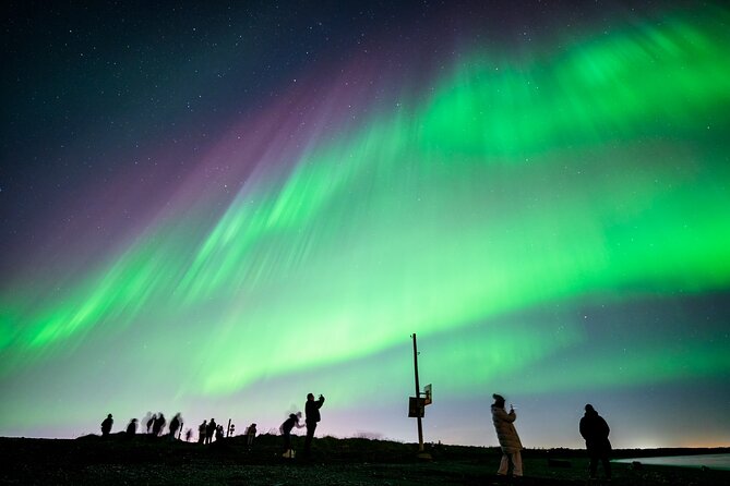 Northern Lights Small Group Tour from Reykjavik - How the four-hour search works
