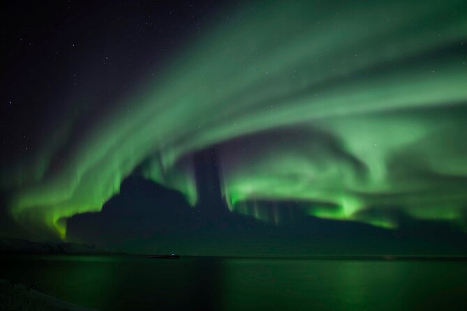 Northern Lights Tour from Husavik - Price and what you receive for $173.64