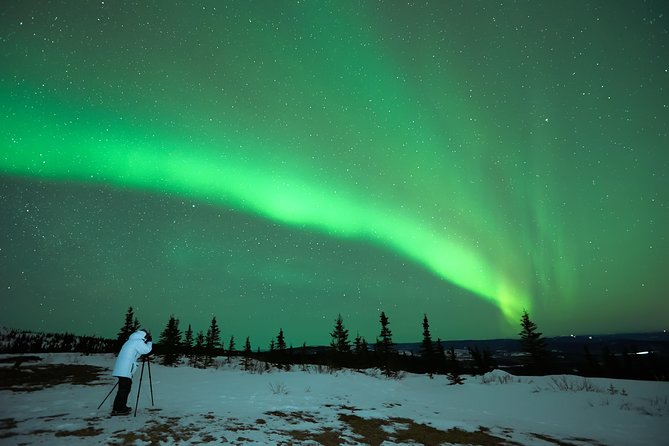 Northern Lights Tour from Reykjavik with Lifetime Guarantee - Key points to know before booking