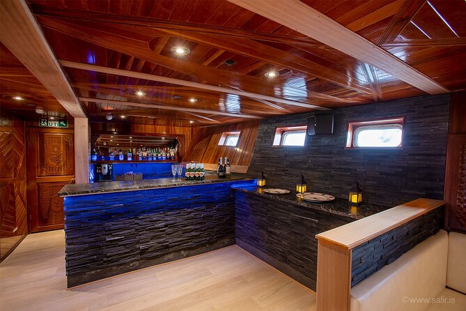 Northern Lights Yacht Cruise in Reykjavik - Coastline, islands, and possible wildlife