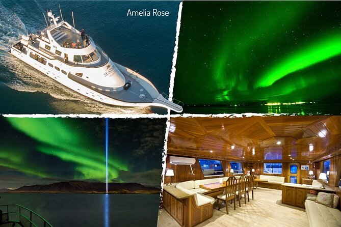 Northern Lights Yacht Cruise in Reykjavik - Group size, timing, and who will enjoy it