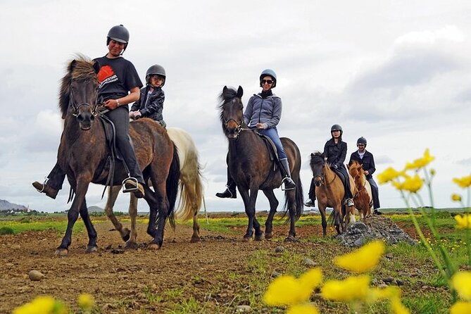 One-Hour Horseback Riding Tour in the Icelandic Countryside - Key points to know before you ride