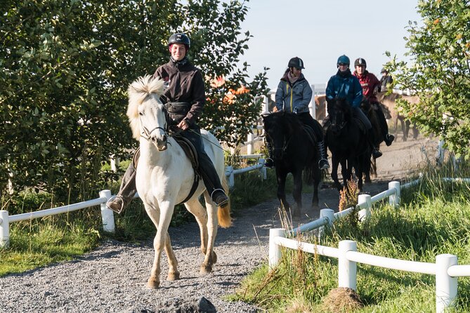 One-Hour Horseback Riding Tour in the Icelandic Countryside - Meeting at Hótel Eldhestar in South Iceland