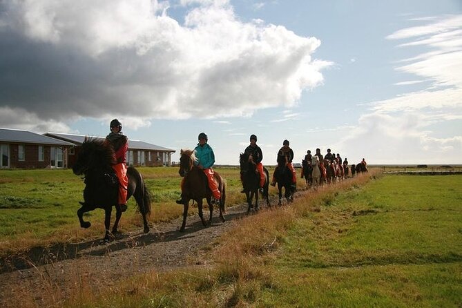 One-Hour Horseback Riding Tour in the Icelandic Countryside - Riding the paths and meadows around Vellir farm