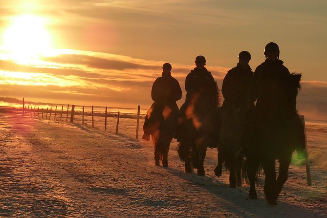 One-Hour Horseback Riding Tour in the Icelandic Countryside - Meeting the horses and learning the basics