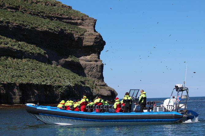 Original Big Whale Safari & Puffins Speedboat Tour from Húsavík - What the small boat changes