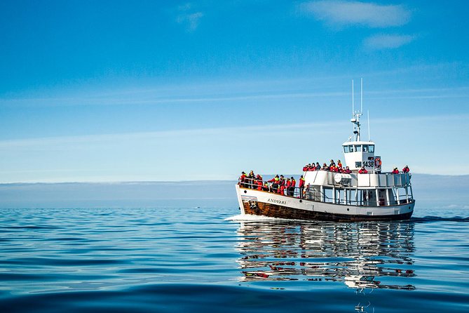 Original Carbon Neutral Whale Watching Tour from Húsavík - Is $135.16 a fair price?