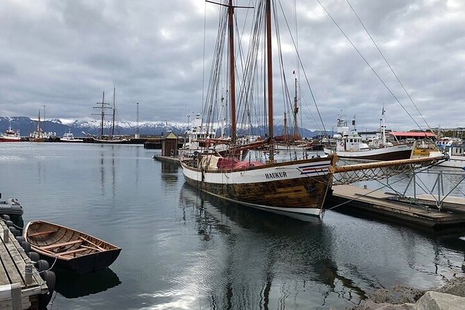 Premium 4x4 Diamond Circle Tour - Hljóðaklettar rewards an interest in geology