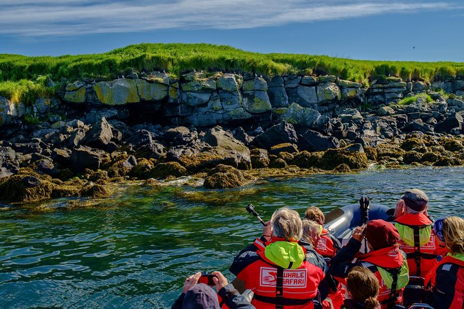 Premium Small-Group Puffin & Bird Watching tour from Reykjavík - Photography, guides, and the small-group benefit