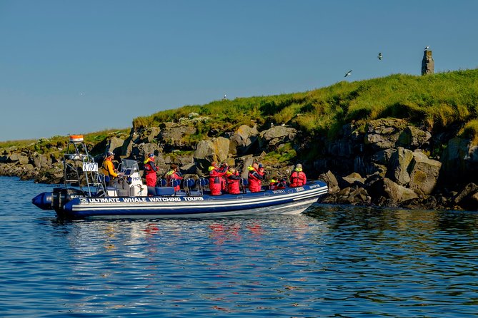 Premium Small-Group Puffin & Bird Watching tour from Reykjavík - Cancellation and planning details