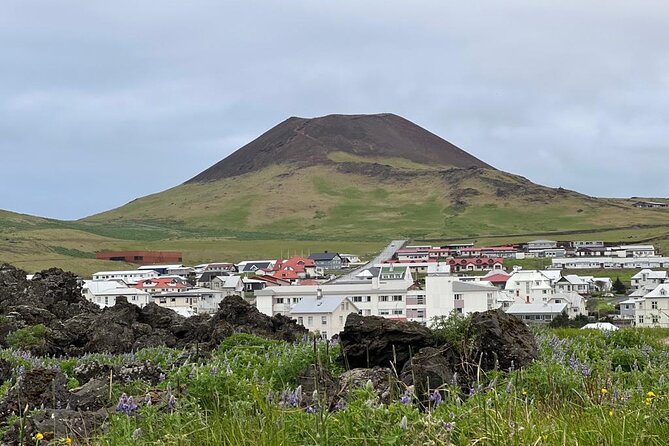PRIVATE 2-Hours Tour - Westman Islands with a local in a BMW X5 - Pickup from the ferry and cruise connections