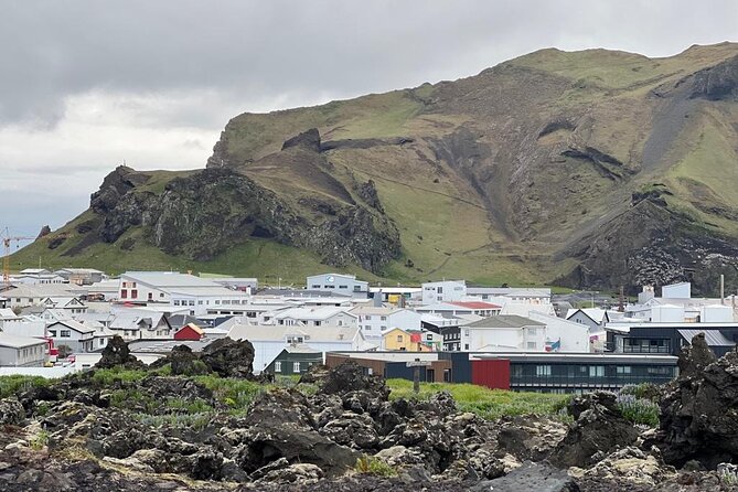PRIVATE 2-Hours Tour - Westman Islands with a local in a BMW X5 - Puffins, sea cliffs, and the best photo stops