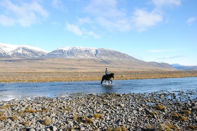 Private 3-Hour Horseback Riding Tour - Riding Icelandic horses beyond the usual tourist trail