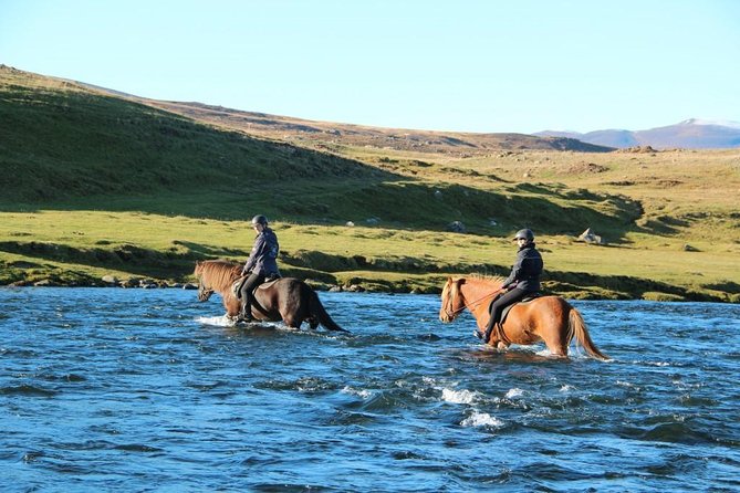 Private 3-Hour Horseback Riding Tour - How much speed should you expect?