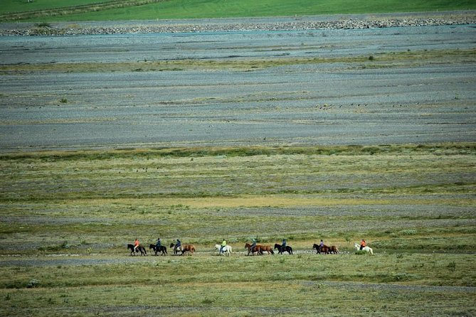 Private 3-Hour Horseback Riding Tour - The horses are part of the attraction