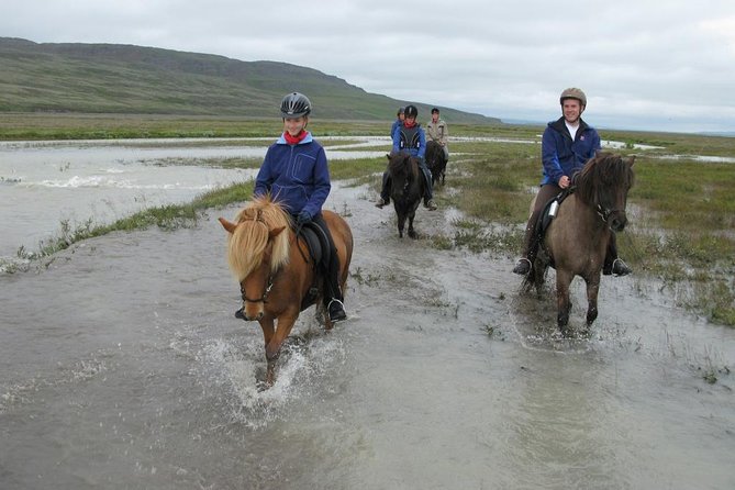 Private 3-Hour Horseback Riding Tour - Weather, clothing, and the comfort factor